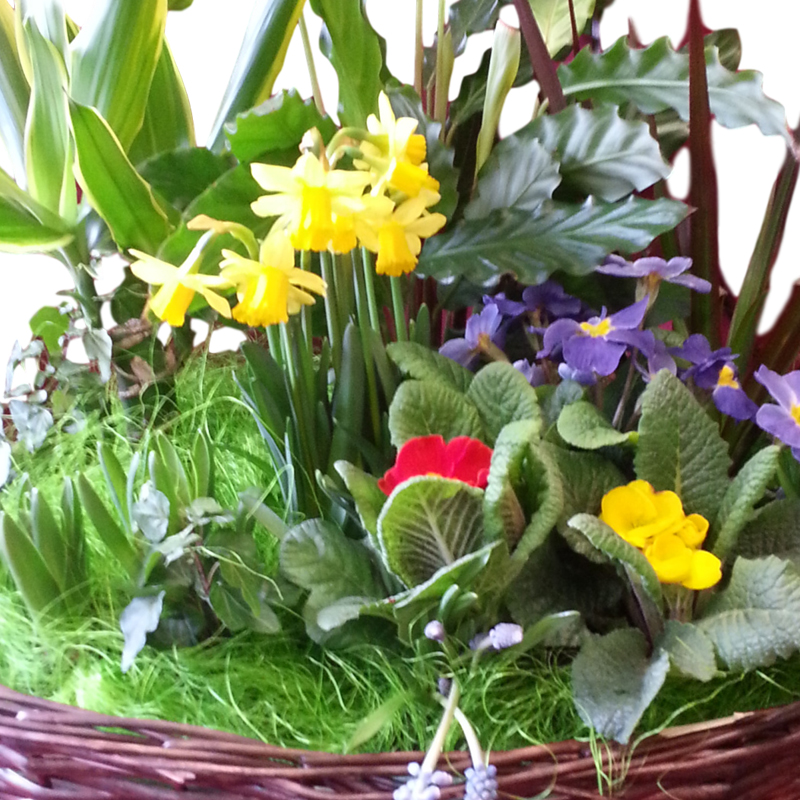 County Flowers of Taunton, Somerset - Bouquets and Arrangements
