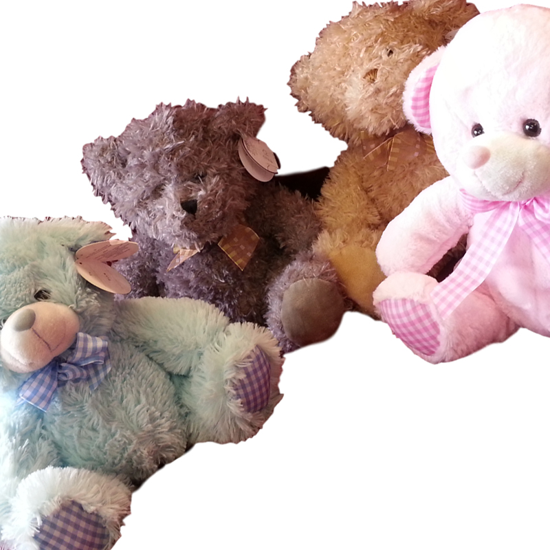 County Flowers of Taunton, Somerset - Teddy Bears